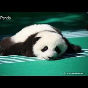 Meet your Posher, Marti